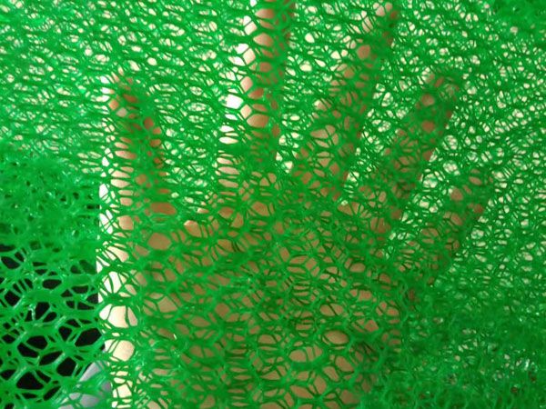 Three dimension Vegetation Net