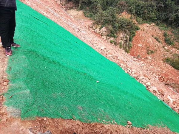 Three dimension Vegetation Net